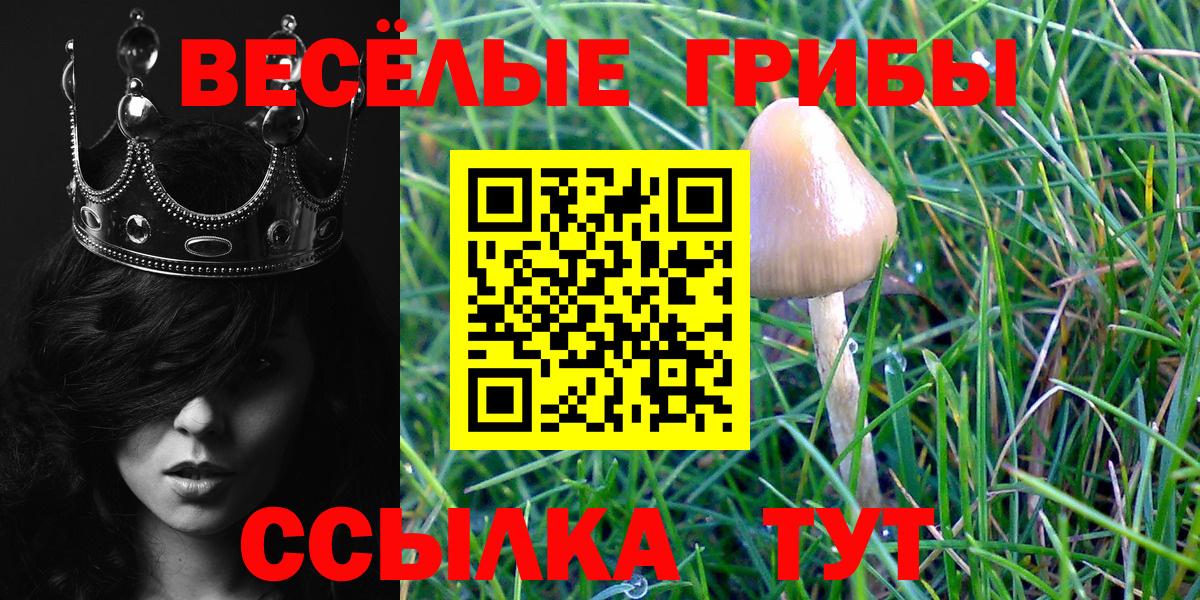 Галлюциногенные грибы мицелий  Вход с VPN  даркнет сайт  Усть-Илимск  Псилоцибиновые грибы GOLDEN TEACHER 